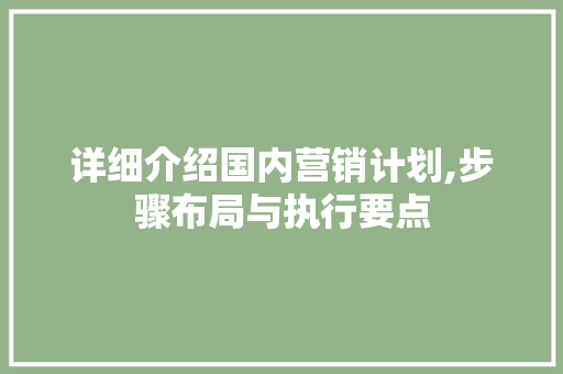 详细介绍国内营销计划,步骤布局与执行要点