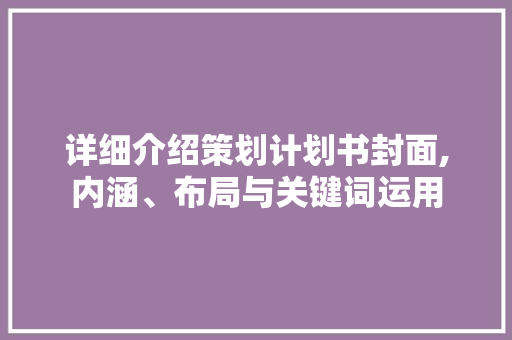 详细介绍策划计划书封面,内涵、布局与关键词运用