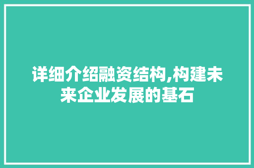 详细介绍融资结构,构建未来企业发展的基石