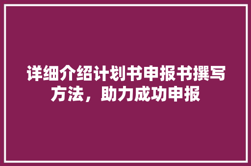 详细介绍计划书申报书撰写方法，助力成功申报