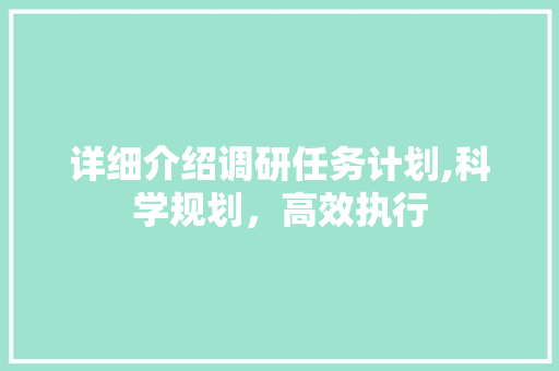 详细介绍调研任务计划,科学规划，高效执行