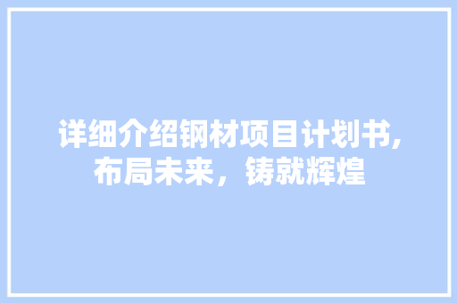 详细介绍钢材项目计划书,布局未来，铸就辉煌