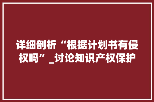 详细剖析“根据计划书有侵权吗”_讨论知识产权保护与创新发展