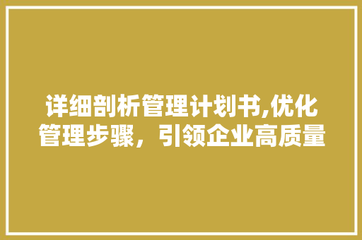 详细剖析管理计划书,优化管理步骤，引领企业高质量发展 申请书范文