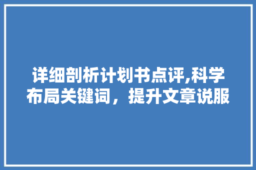 详细剖析计划书点评,科学布局关键词，提升文章说服力