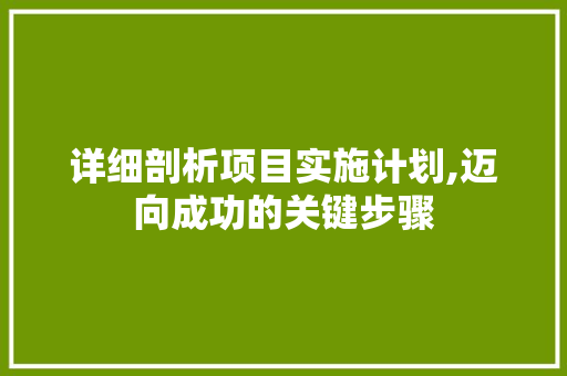 详细剖析项目实施计划,迈向成功的关键步骤