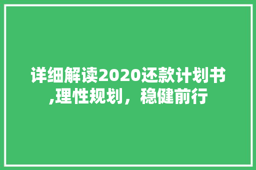 详细解读2020还款计划书,理性规划，稳健前行