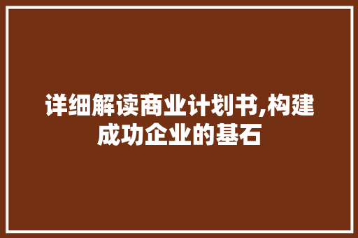 详细解读商业计划书,构建成功企业的基石