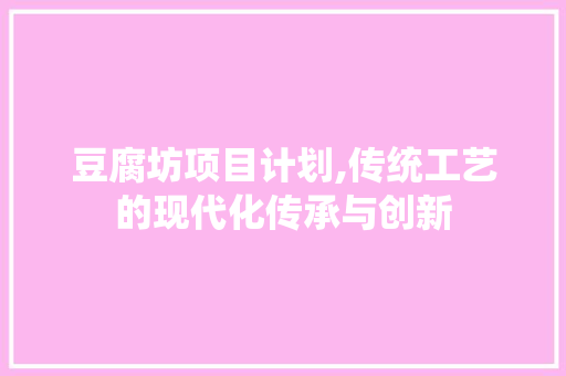 豆腐坊项目计划,传统工艺的现代化传承与创新