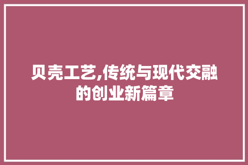 贝壳工艺,传统与现代交融的创业新篇章