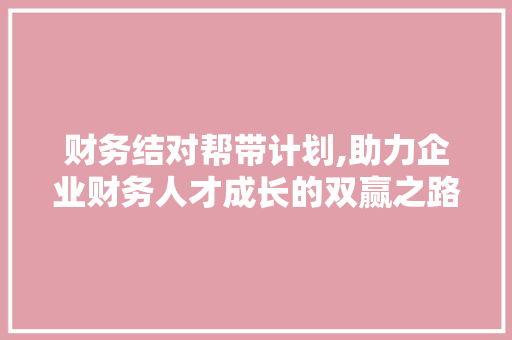 财务结对帮带计划,助力企业财务人才成长的双赢之路