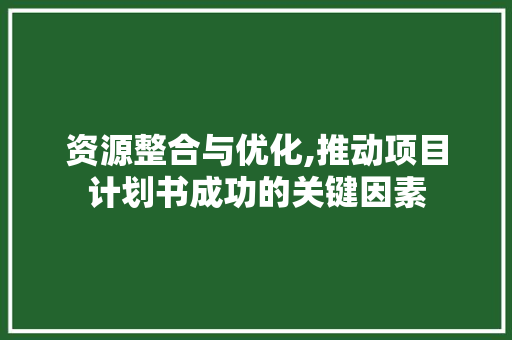 资源整合与优化,推动项目计划书成功的关键因素