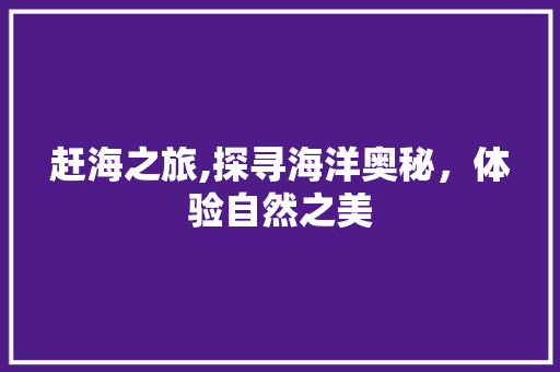 赶海之旅,探寻海洋奥秘，体验自然之美