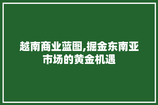 越南商业蓝图,掘金东南亚市场的黄金机遇