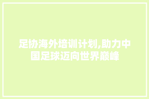 足协海外培训计划,助力中国足球迈向世界巅峰