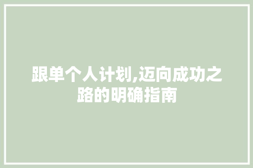 跟单个人计划,迈向成功之路的明确指南 工作总结范文