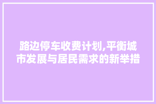 路边停车收费计划,平衡城市发展与居民需求的新举措