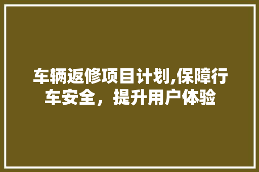 车辆返修项目计划,保障行车安全，提升用户体验