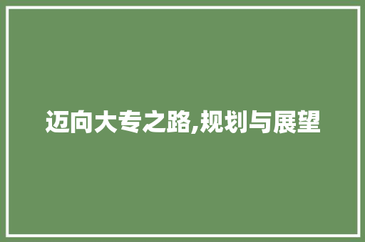 迈向大专之路,规划与展望