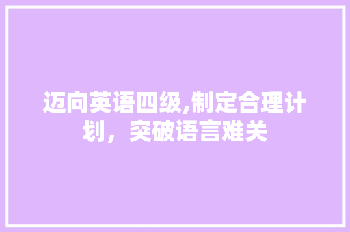 迈向英语四级,制定合理计划，突破语言难关