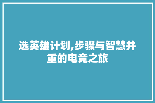 选英雄计划,步骤与智慧并重的电竞之旅