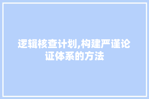 逻辑核查计划,构建严谨论证体系的方法