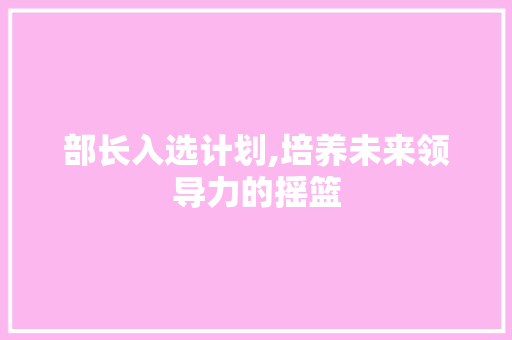 部长入选计划,培养未来领导力的摇篮