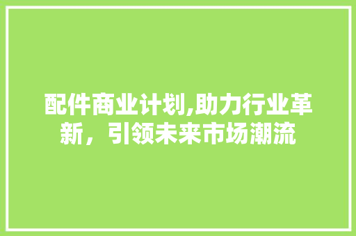 配件商业计划,助力行业革新，引领未来市场潮流