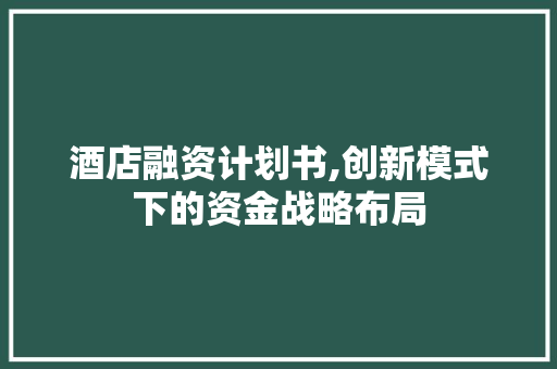 酒店融资计划书,创新模式下的资金战略布局