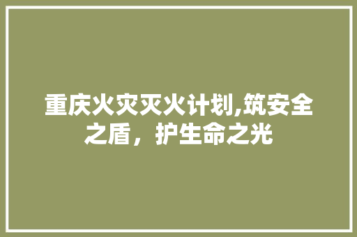 重庆火灾灭火计划,筑安全之盾，护生命之光