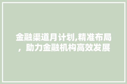 金融渠道月计划,精准布局，助力金融机构高效发展