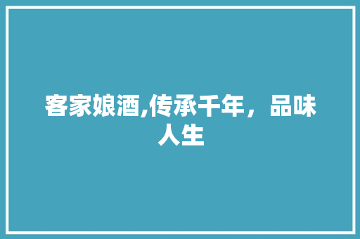 客家娘酒,传承千年，品味人生 报告范文