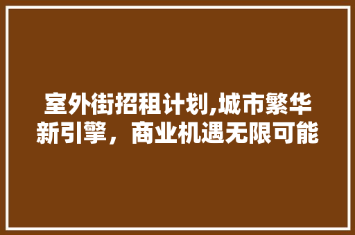 室外街招租计划,城市繁华新引擎，商业机遇无限可能