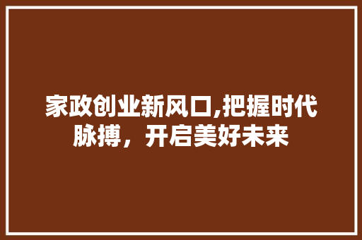 家政创业新风口,把握时代脉搏，开启美好未来