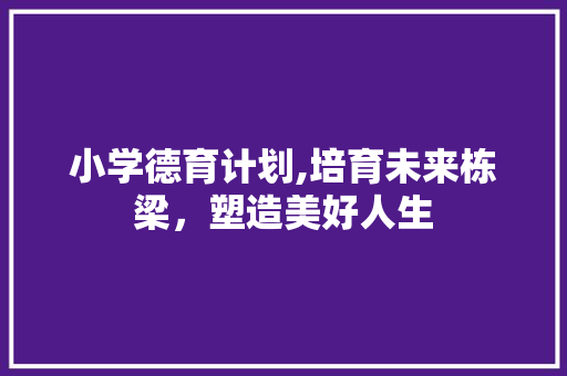 小学德育计划,培育未来栋梁，塑造美好人生