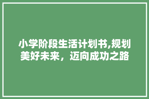 小学阶段生活计划书,规划美好未来，迈向成功之路