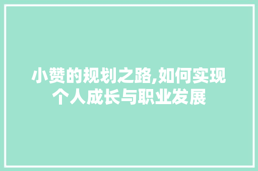 小赞的规划之路,如何实现个人成长与职业发展