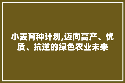 小麦育种计划,迈向高产、优质、抗逆的绿色农业未来