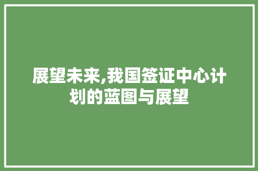 展望未来,我国签证中心计划的蓝图与展望