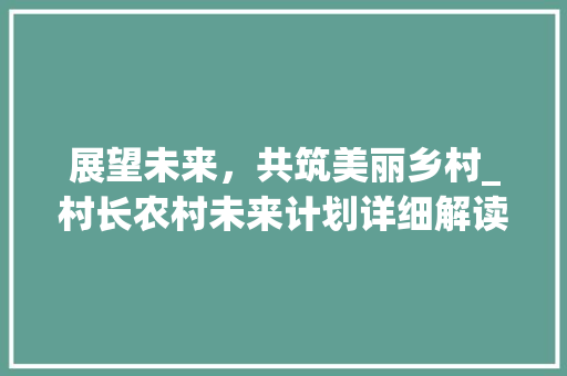 展望未来，共筑美丽乡村_村长农村未来计划详细解读