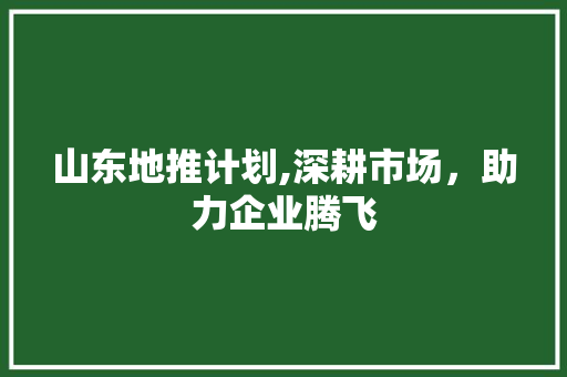 山东地推计划,深耕市场，助力企业腾飞