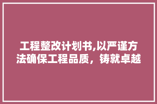 工程整改计划书,以严谨方法确保工程品质，铸就卓越工程典范