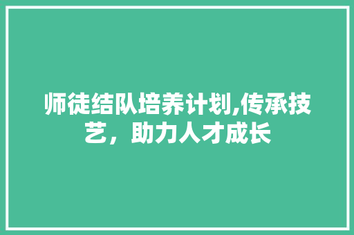 师徒结队培养计划,传承技艺，助力人才成长