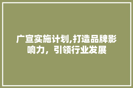 广宣实施计划,打造品牌影响力，引领行业发展