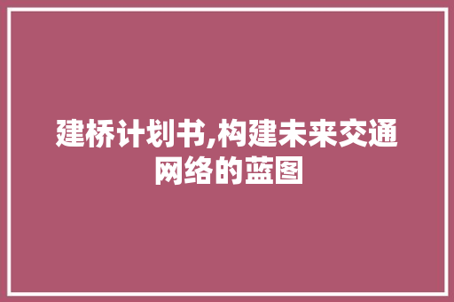 建桥计划书,构建未来交通网络的蓝图