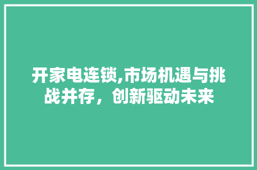 开家电连锁,市场机遇与挑战并存，创新驱动未来