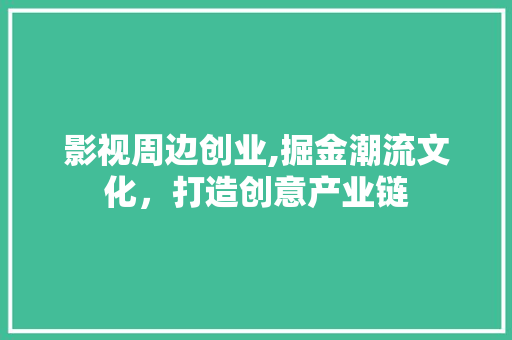 影视周边创业,掘金潮流文化，打造创意产业链