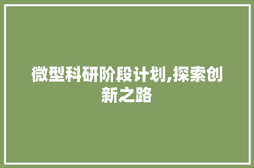 微型科研阶段计划,探索创新之路