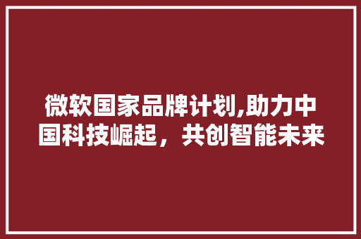 微软国家品牌计划,助力中国科技崛起，共创智能未来