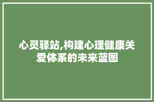 心灵驿站,构建心理健康关爱体系的未来蓝图